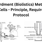 Bombardment (Biolistics) Method for Plant Cells - Principle, Requirement, Protocol