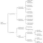 Classification of plants Movements