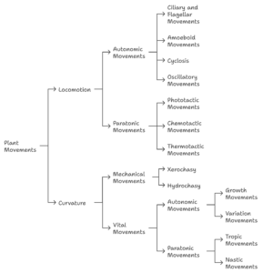 Movements in Plants – Definition, Classification, Mechanism, Examples