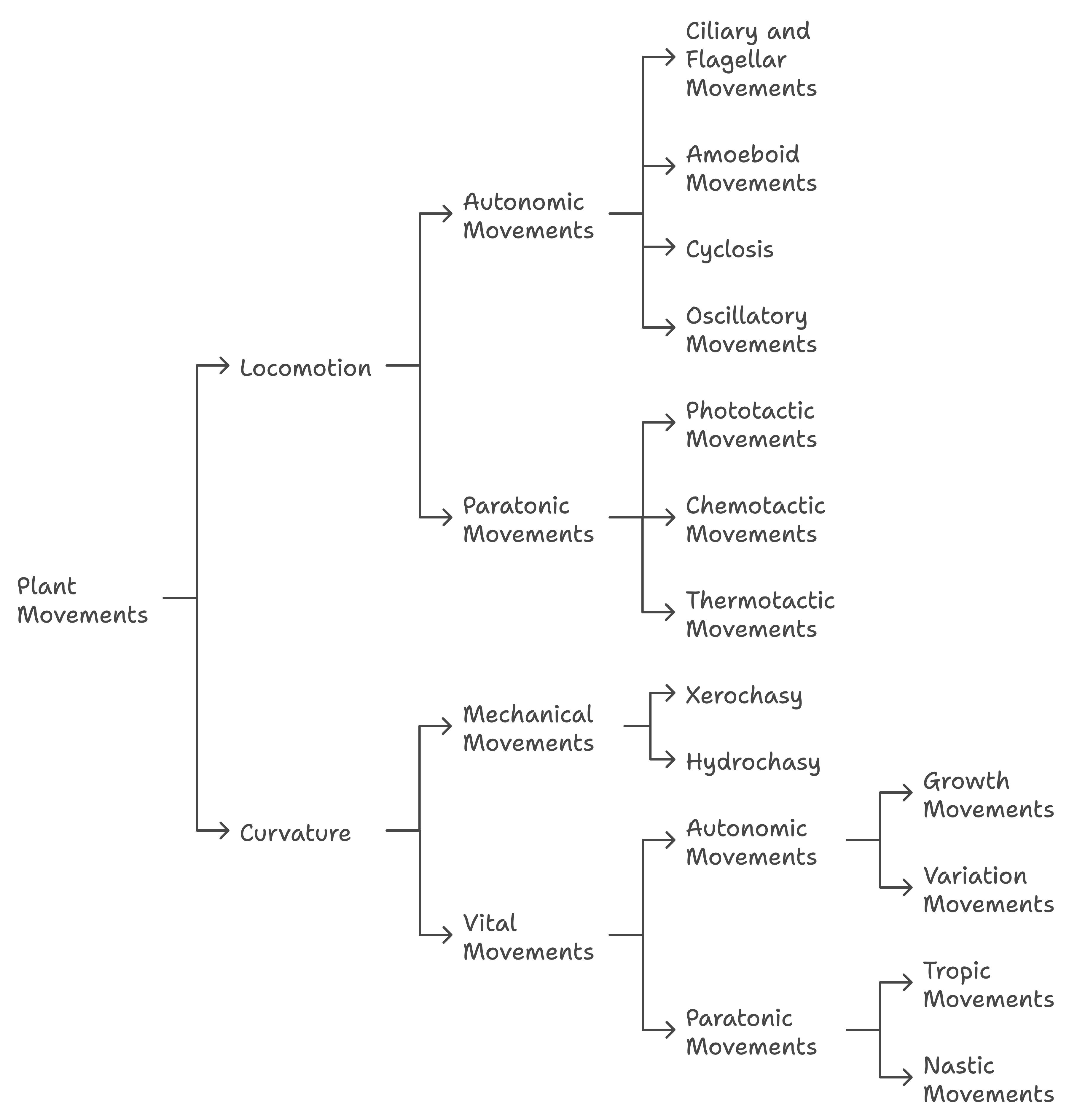 Classification of plants Movements