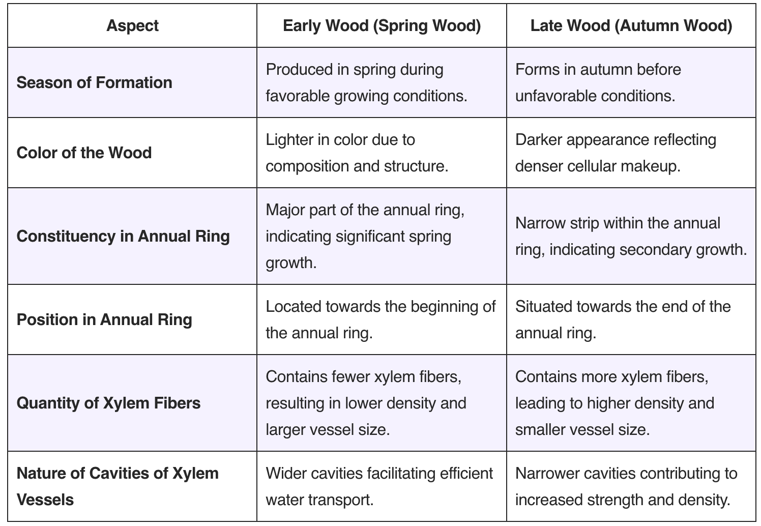 Differences Between Early and Late Wood – Spring Wood and Autumn Wood