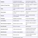 Differences Between Monocot and Dicot Flower - Monocot vs. Dicot Flower