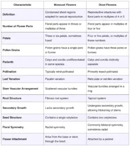 Differences Between Monocot and Dicot Flower – Monocot vs. Dicot Flower