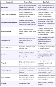 Differences Between Monocot and Dicot Roots – Monocot vs. Dicot Roots