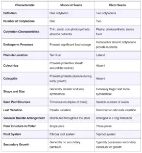 Differences Between Monocot and Dicot Seed – Monocot vs. Dicot Seed