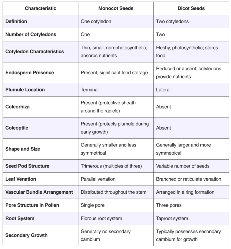 differences-biology-notes-online