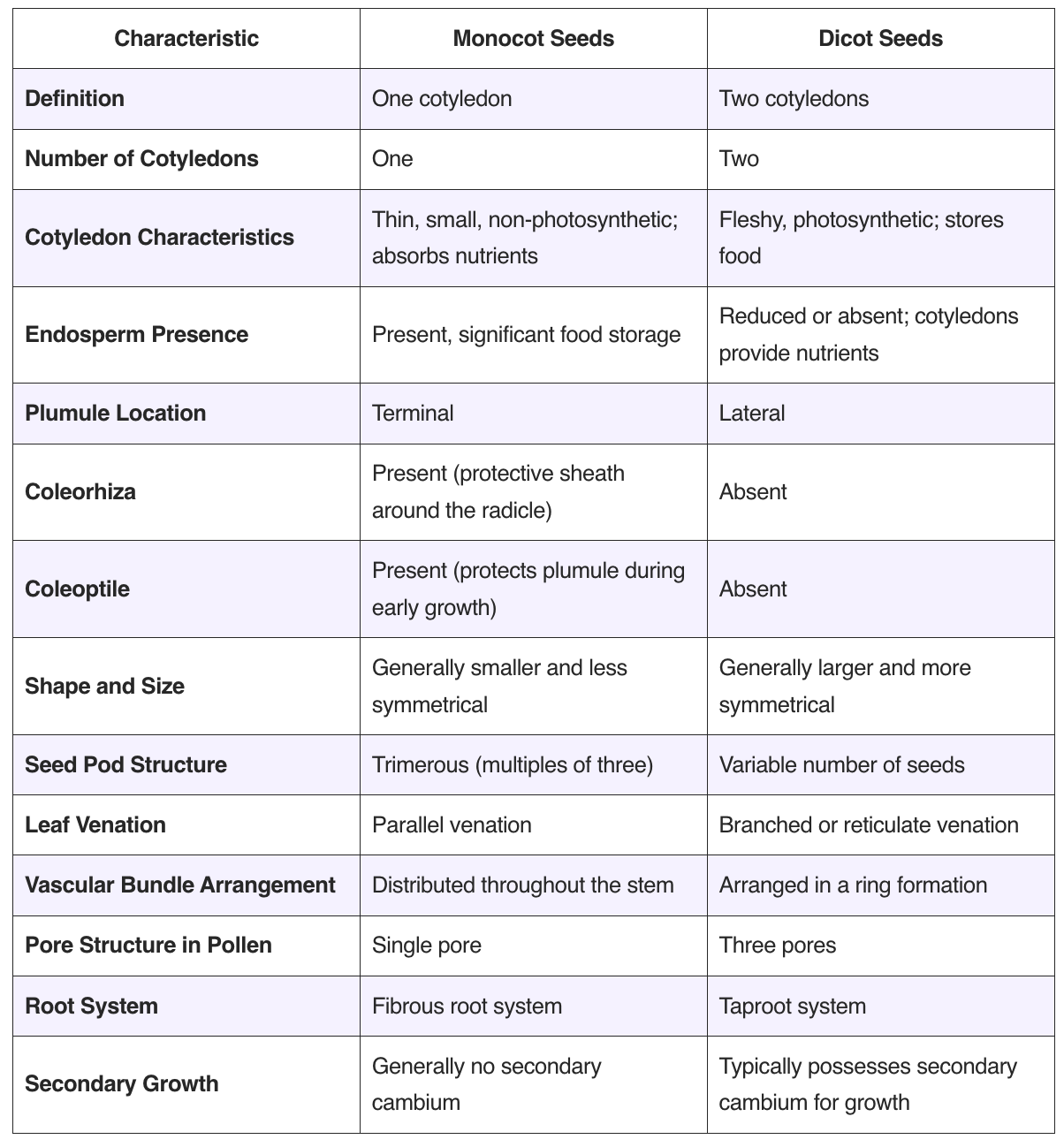 Differences Between Monocot and Dicot Seed - Monocot vs. Dicot Seed