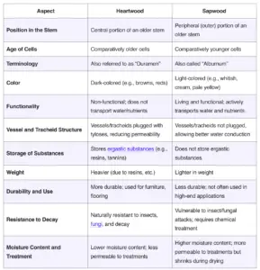 Differences Between Sapwood and Heartwood