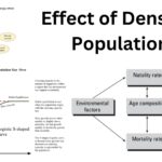 Effect of Density of Populations - AP Biology Notes