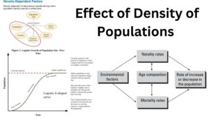 Effect of Density of Populations – AP Biology Notes