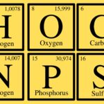 Elements of Life - AP Biology