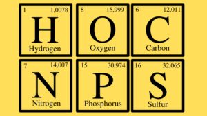 Elements of Life – AP Biology
