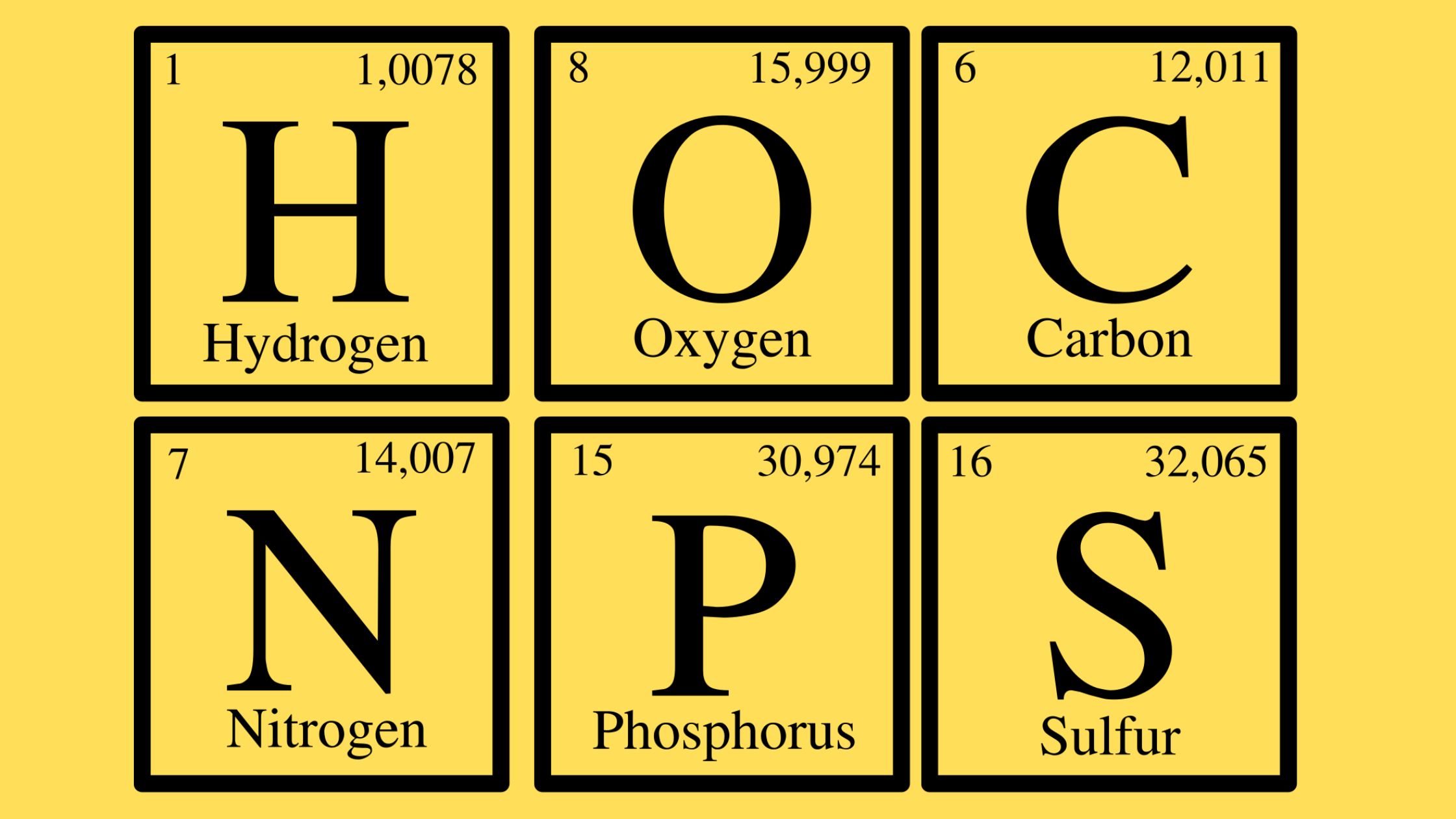 Elements of Life - AP Biology