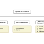 Ergastic Substances of Plant Cells