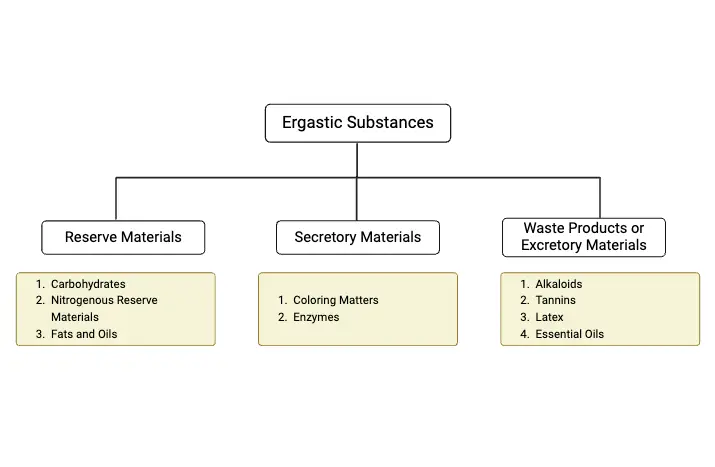 Ergastic Substances of Plant Cells