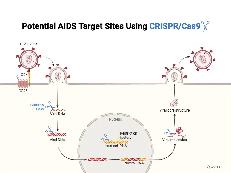 Potential AIDS Target Sites Using CRISPR_Cas9