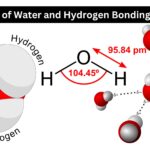 Structure of Water and Hydrogen Bonding