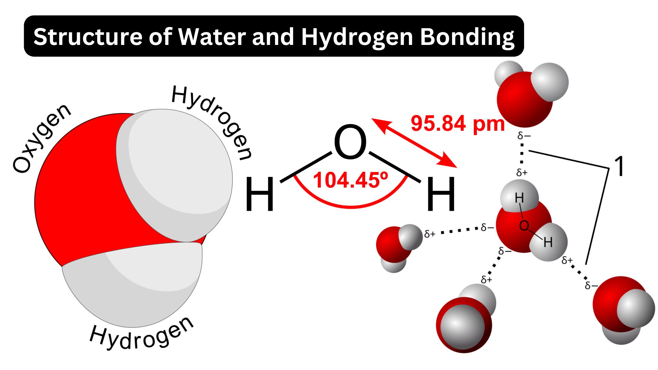 Structure of Water and Hydrogen Bonding