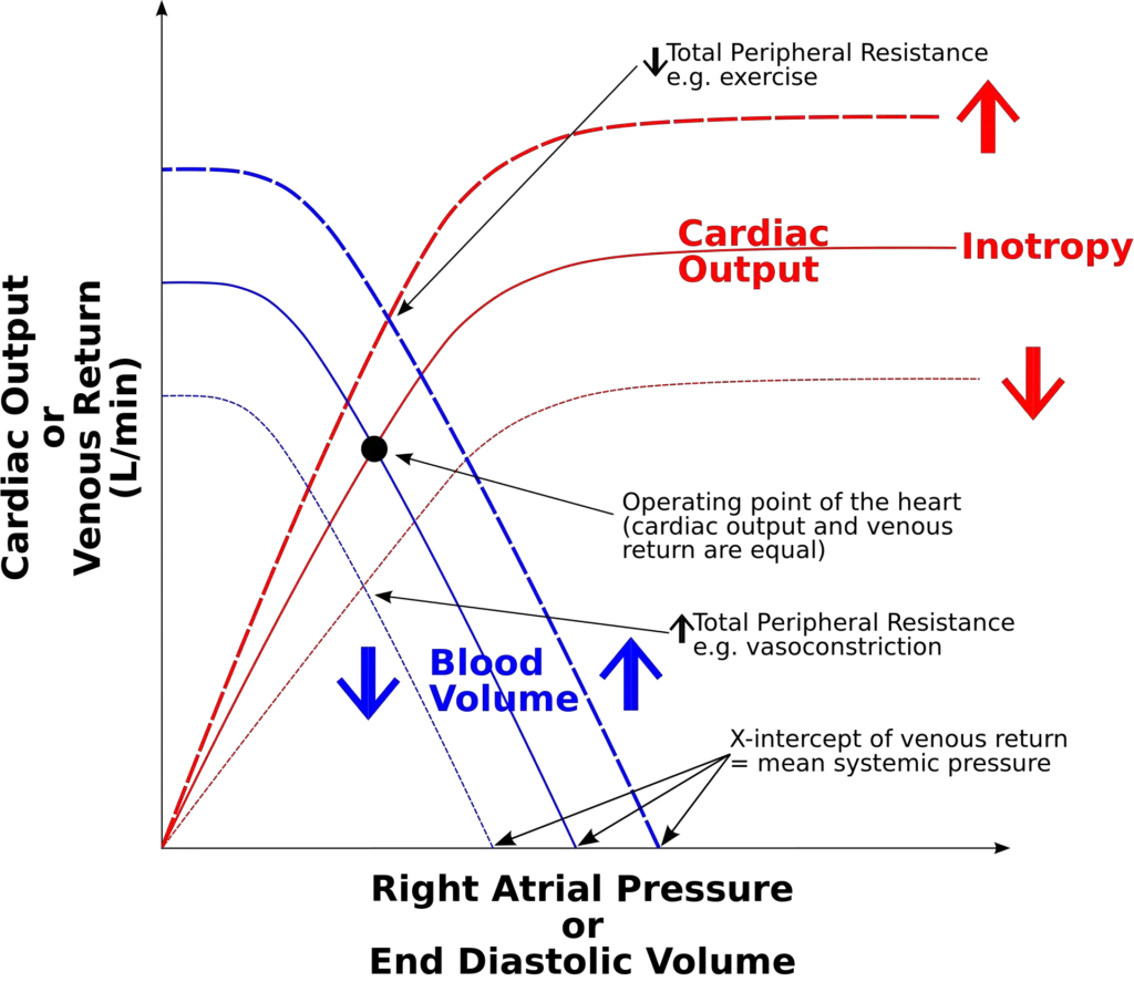 Cardiac function curve. In diagrams illustrating the Frank–Starling law of the heart