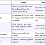 Difference between Lenticels and Hydathodes