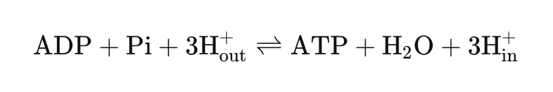 ATP Synthase