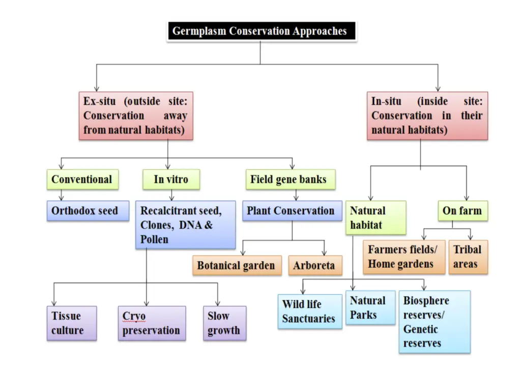 Methods of Germplasm Storage and Conservation