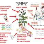 Integrated Plant Disease Management (IDM)