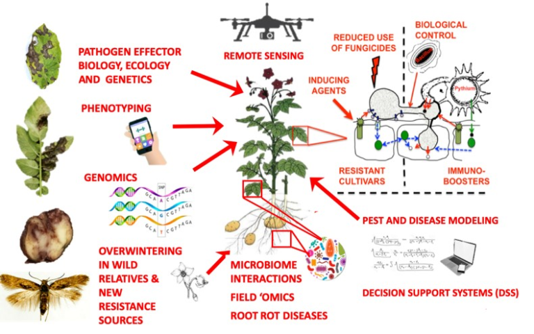 Integrated Plant Disease Management (IDM)