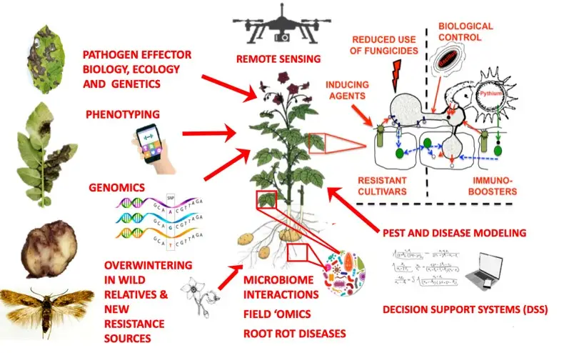 Integrated Plant Disease Management (IDM)