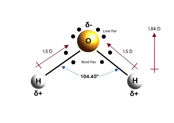 Water molecule - structure