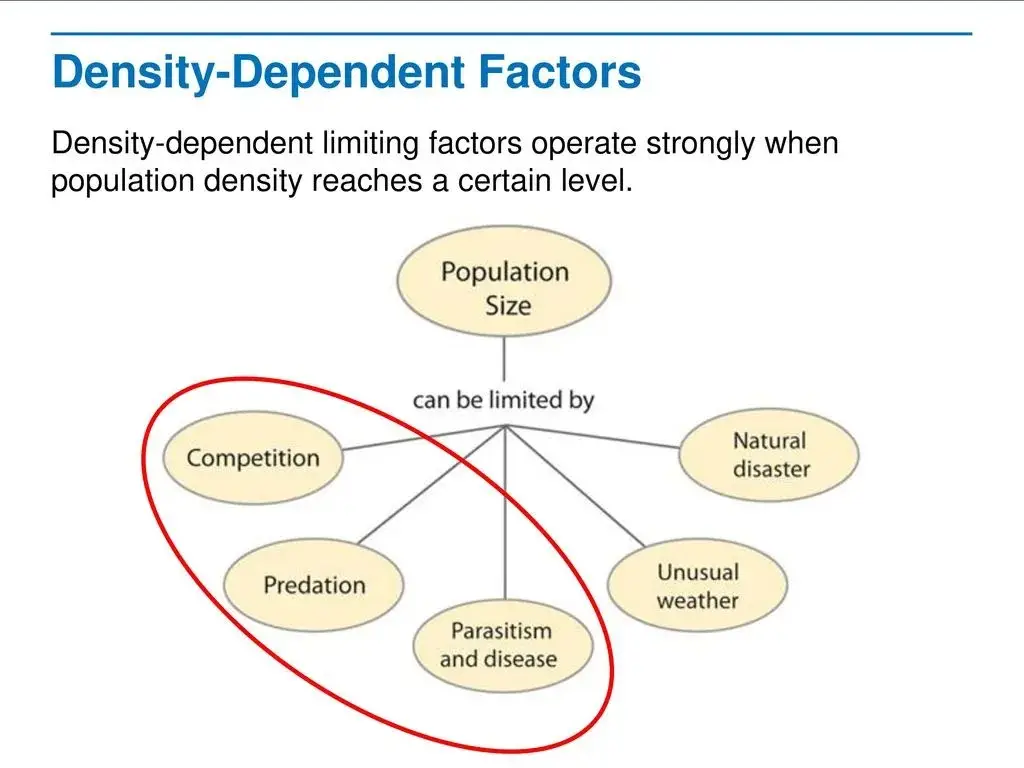 Factors related to density