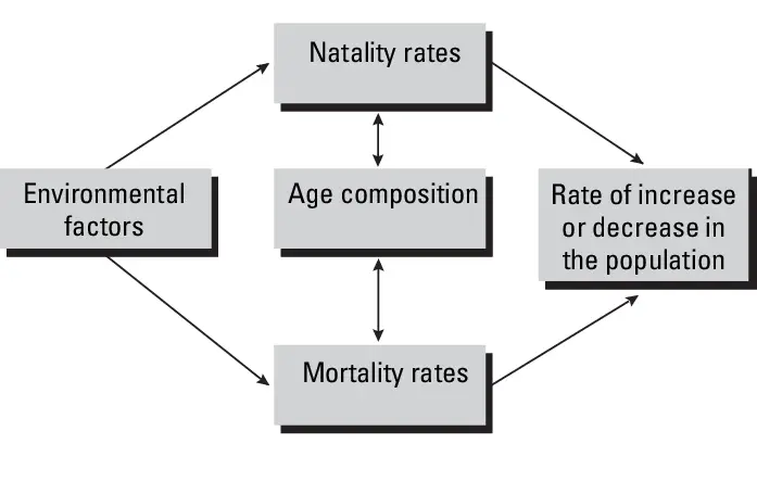 Factors affecting population growth