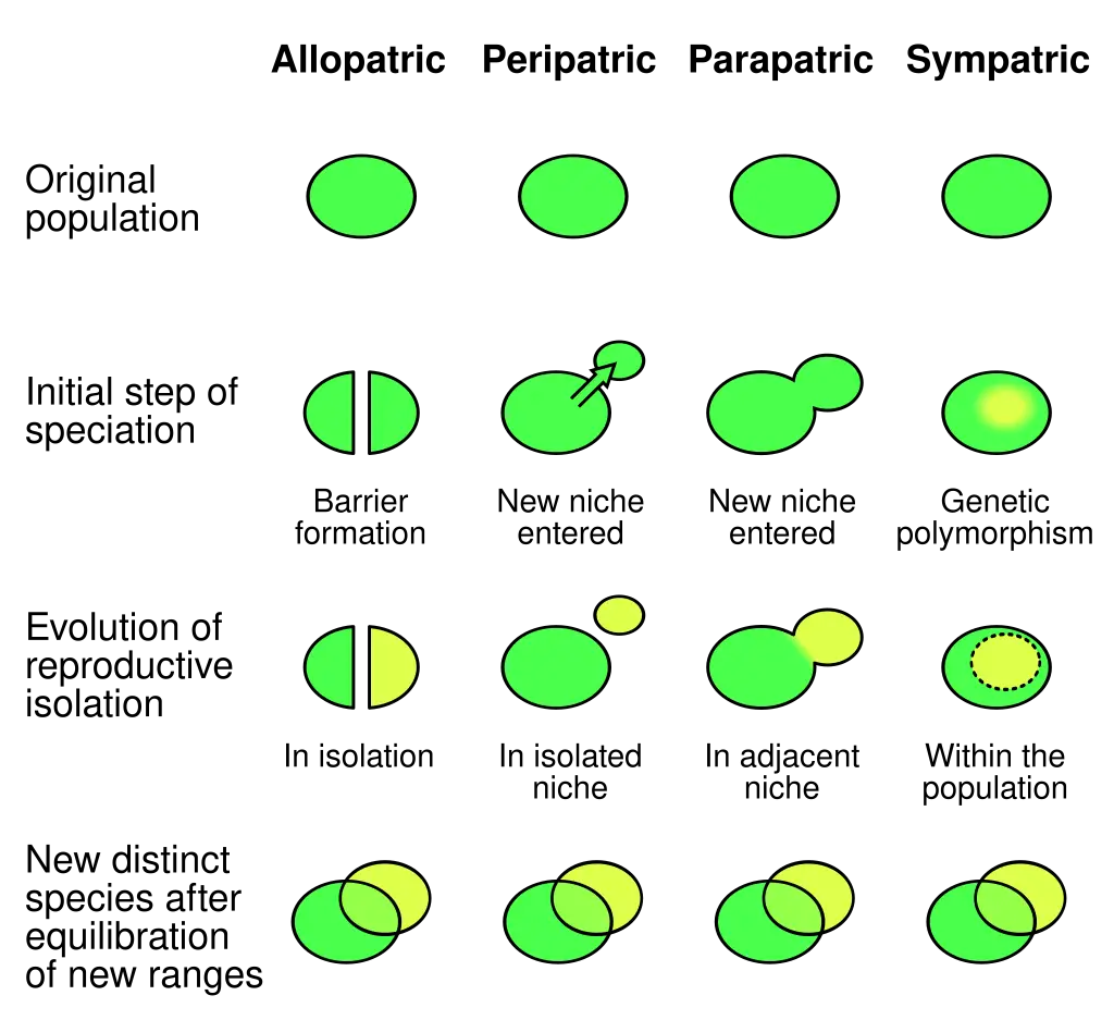 Comparison of allopatric, peripatric, parapatric and sympatric speciation

