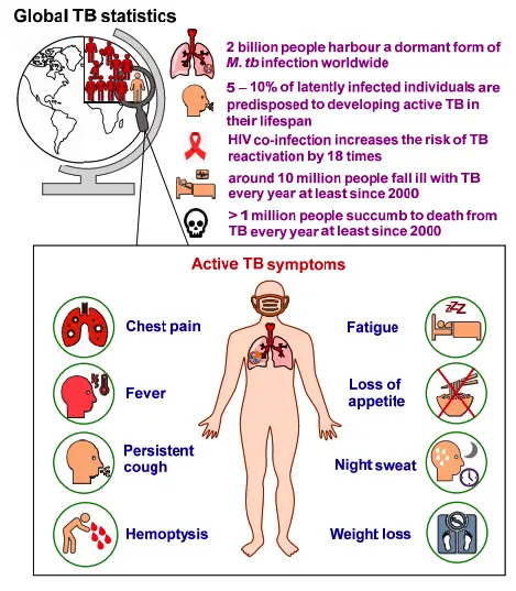 General TB statistics and main symptoms of pulmonary TB