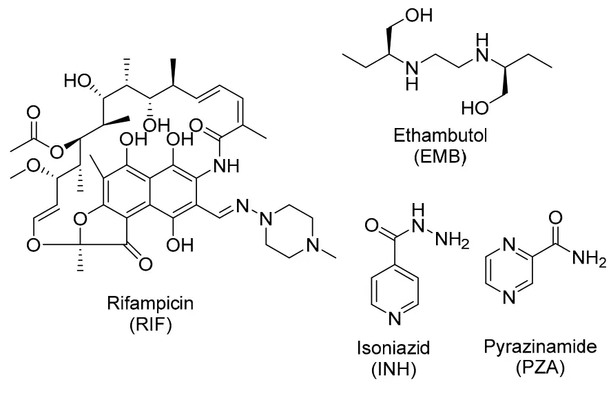 The four front-line anti-TB drugs