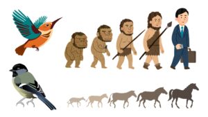 Adaptation – Definition, Types, Reasons, Examples