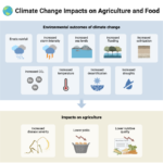 Climate Change Impacts on Agriculture and Food