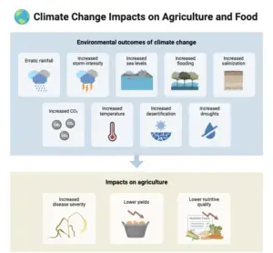 Global Warming  – Definition, Causes, Effects, Solution