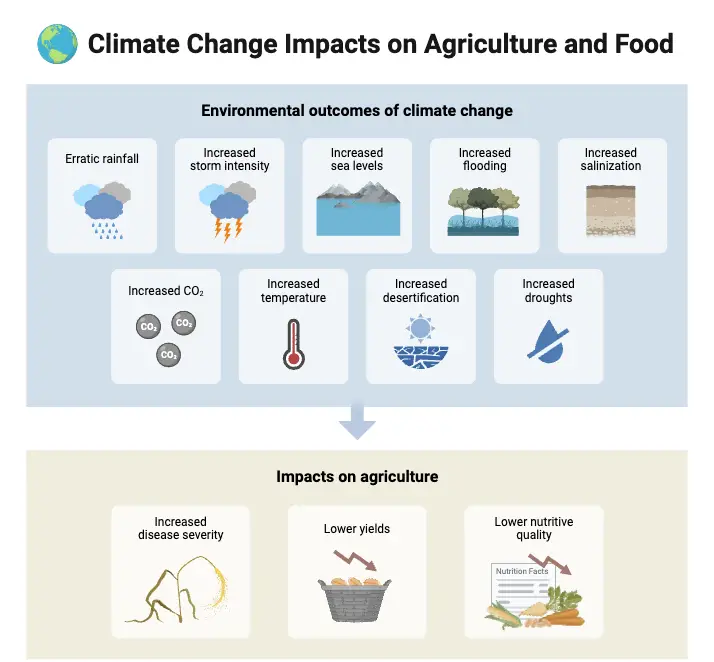 Climate Change Impacts on Agriculture and Food