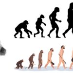 Evolution - Definition, Types, Advantages, Examples