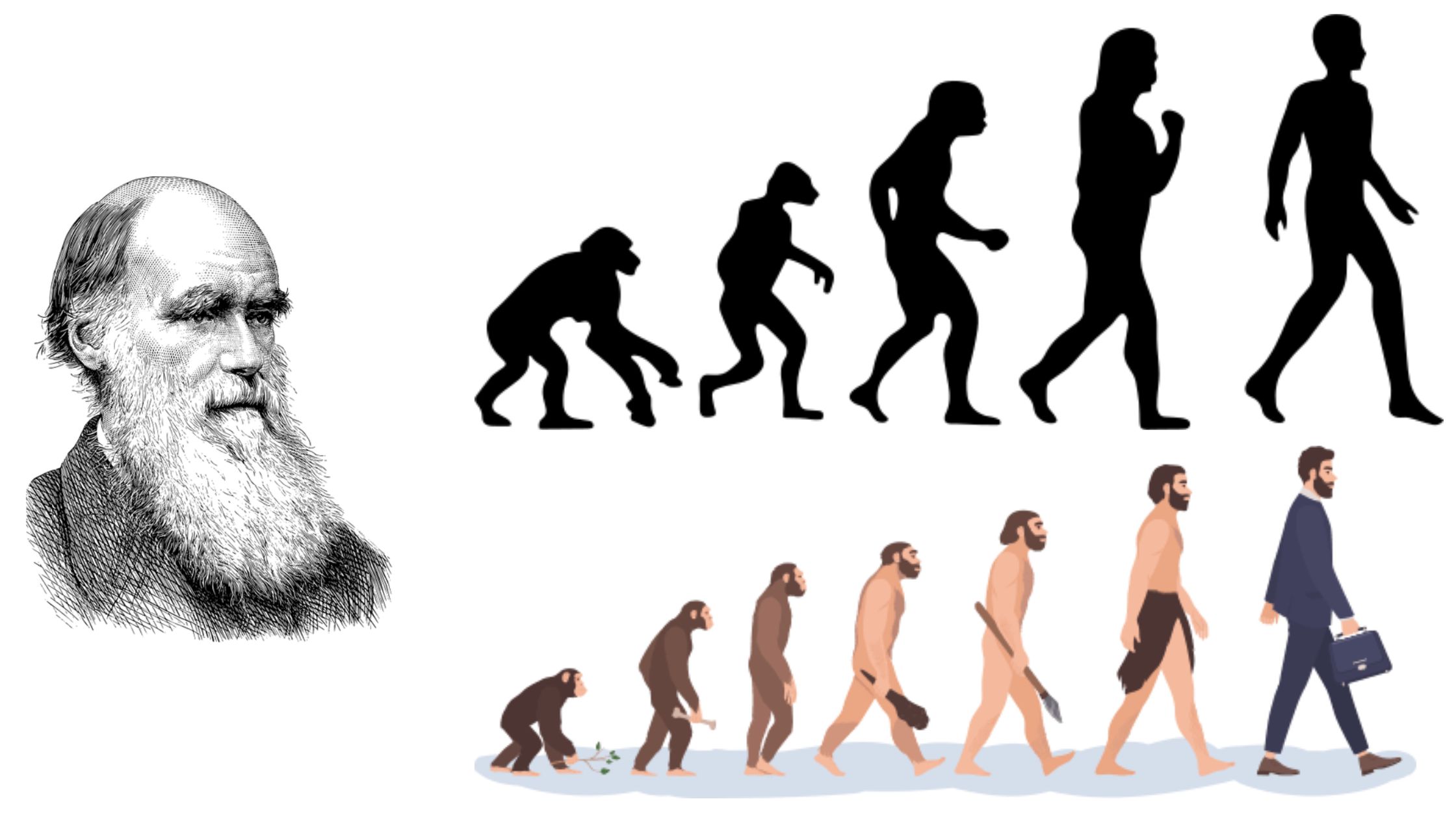 Evolution - Definition, Types, Advantages, Examples
