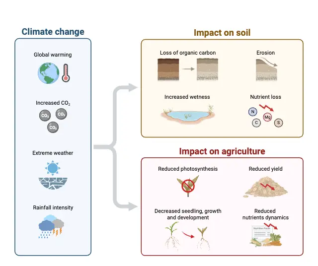 Impact of Climate Change on Soil and Agriculture Properties