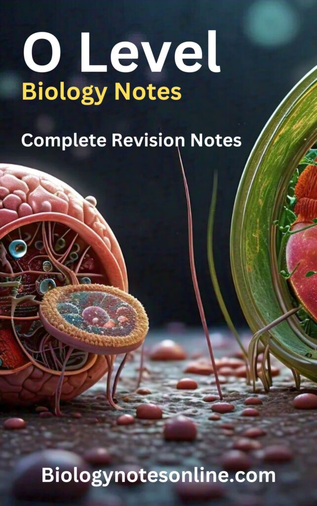 O Level Biology Notes - Biology Notes Online