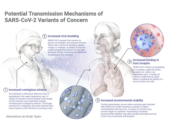 Communicable Diseases