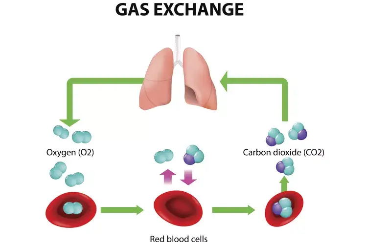 Examples of Diffusion in Daily Life