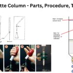 Baran Pipette Column - Parts, Procedure, Types, Uses