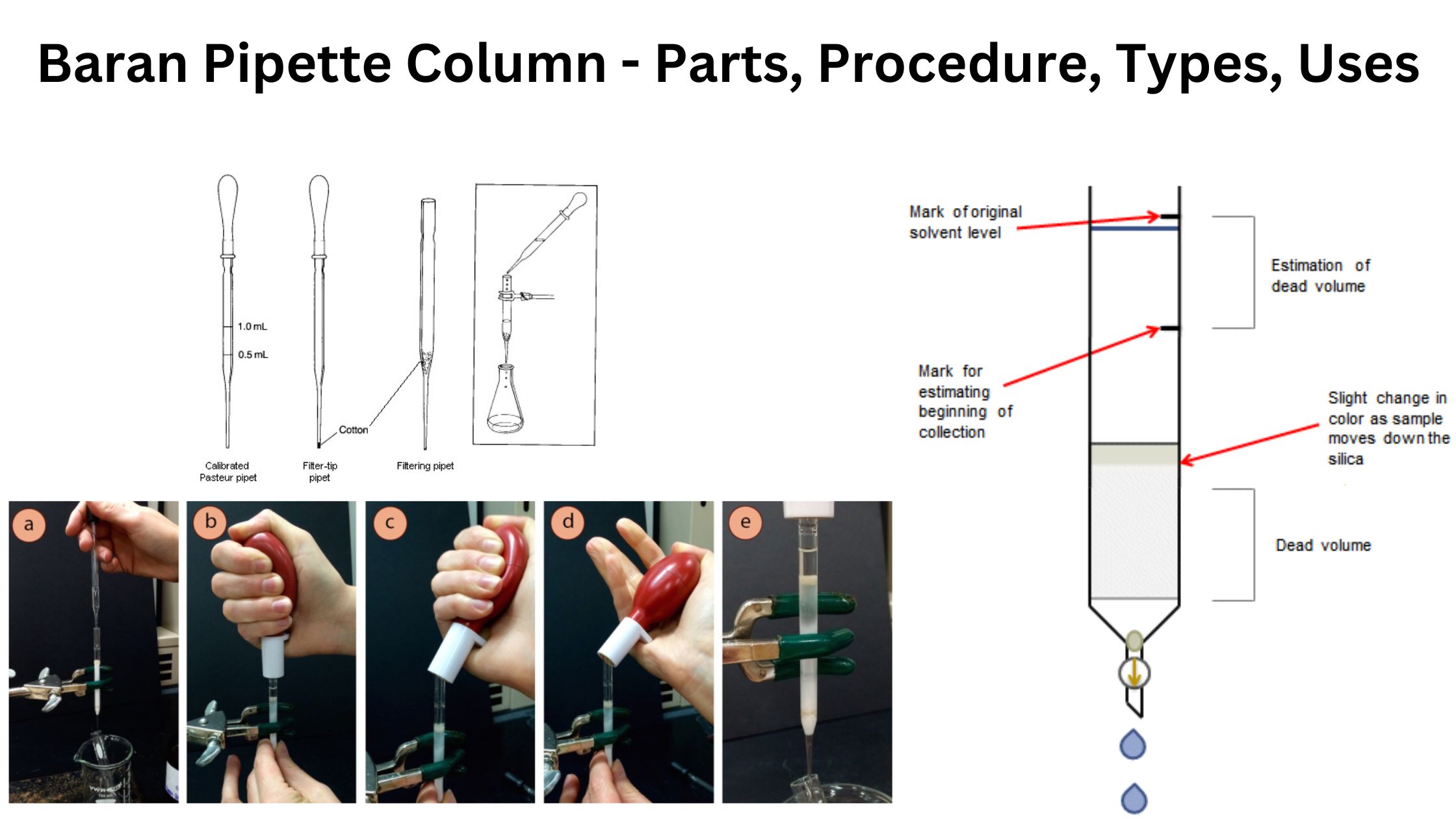 Baran Pipette Column - Parts, Procedure, Types, Uses