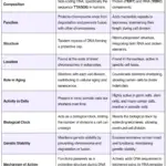 Difference between Telomere and Telomerase