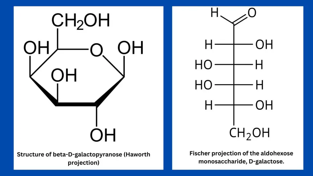 Galactose