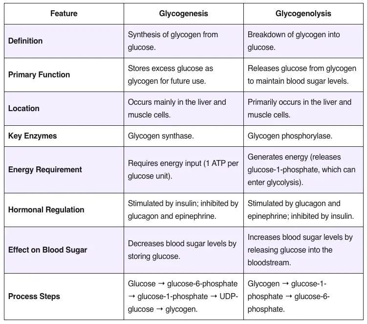 Glycogenesis vs Glycogenolysis